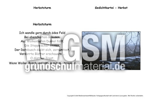 Herbststurm-Wille.pdf